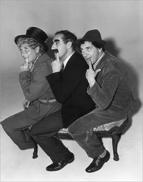 The Marx Brothers in Sam Woods A Day at the Races (1937)