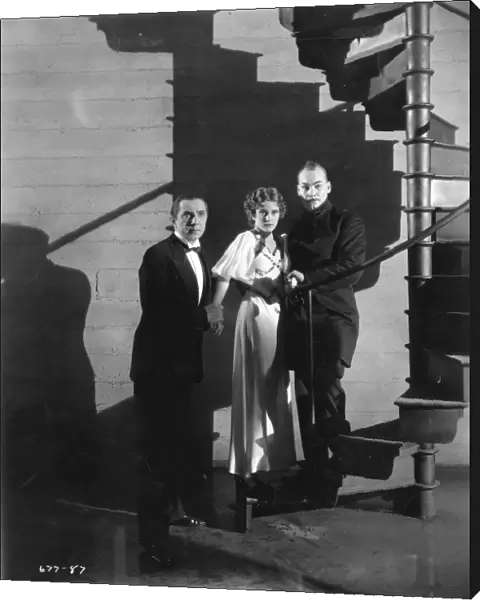 Bela Lugosi, Jacqueline Wells, and Harry Cording in Edgar G Ulmers The Black Cat (1934)