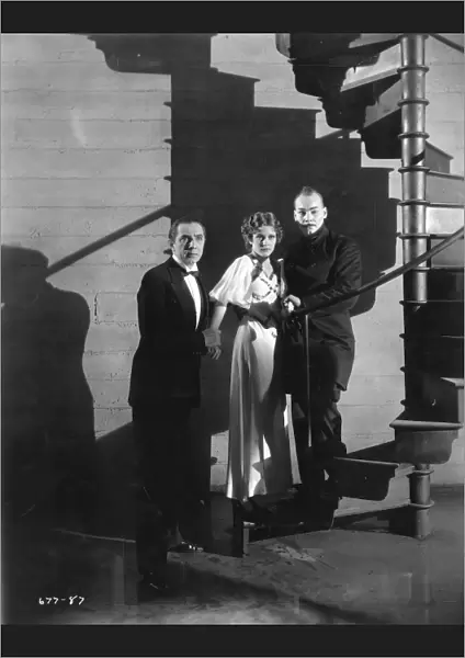 Bela Lugosi, Jacqueline Wells, and Harry Cording in Edgar G Ulmers The Black Cat (1934)