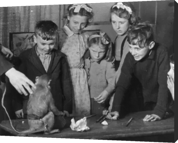 Margaret Thomsons Children Learning by Experience (1947)
