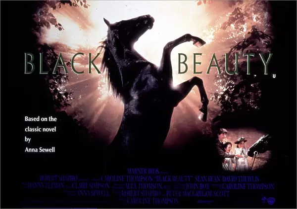 Film Poster for James Hills Black Beauty (1971)