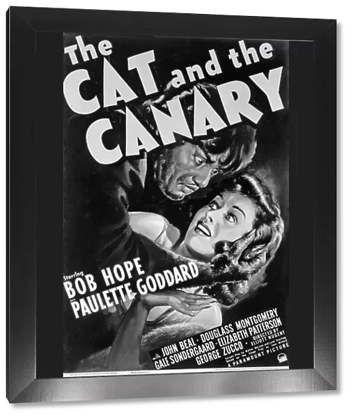 Poster for Elliott Nugents The Cat and the Canary (1939)