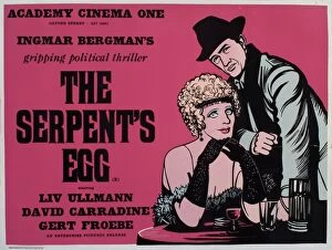 Pink Collection: Academy Poster for Ingmar Bergmans Serpents Egg (1977)