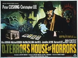 Horror Collection: Film Poster for Freddie Francis Dr Terrors House of Horror (1964)