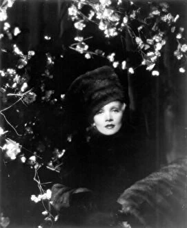 Classic Portraits Collection: Marlene Dietrich in Josef von Sternbergs The Scarlet Empress (1934)