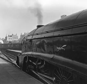 Images Dated 9th March 2009: Tony Thompsons Elizabethan Express (1954)