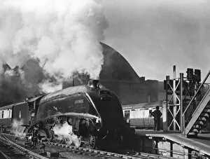 Images Dated 9th March 2009: Tony Thompsons Elizabethan Express (1954)