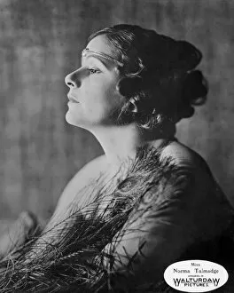 Images Dated 30th November 2011: Walturdaw Pictures Portrait of Norma Talmadge